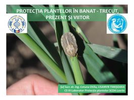 Masa rotunda Academia de Ştiinţe Agricole şi Silvice “Gheorghe Ionescu-Şişeşti” PROTECTIA PLANTELOR IN ROMANIA: trecut, prezent si viitor.