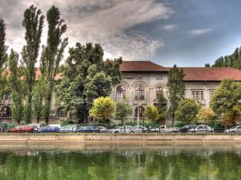 Atelier de lucru „Student – proaspăt absolvent – viitor angajat”